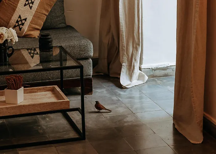 Riad Villa Wengé&Spa Marrakesh